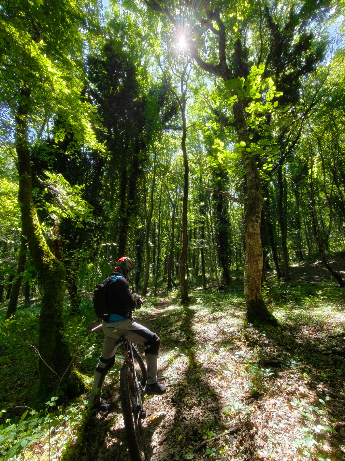 Tour in e-bike