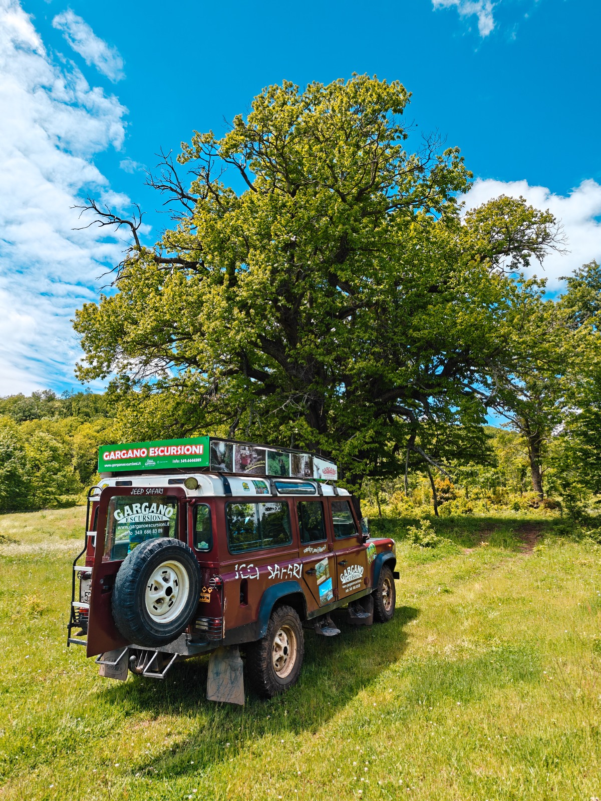 Jeep Safari